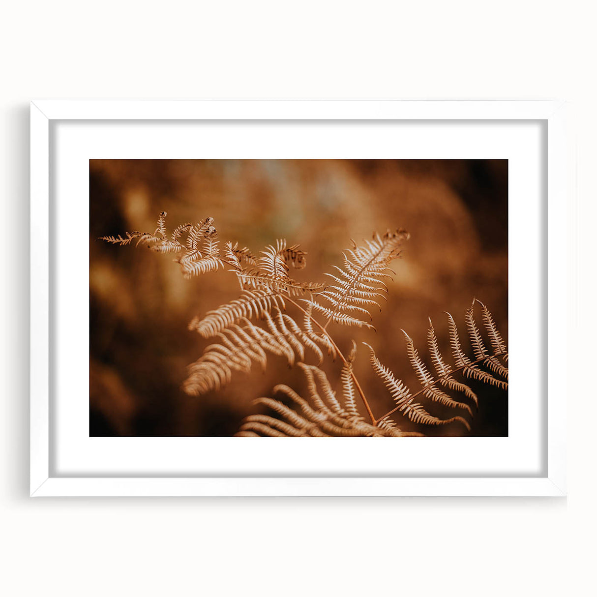 Rustic Fern Wall Art – Delicate Autumn Fern Leaves for Rustic Decor