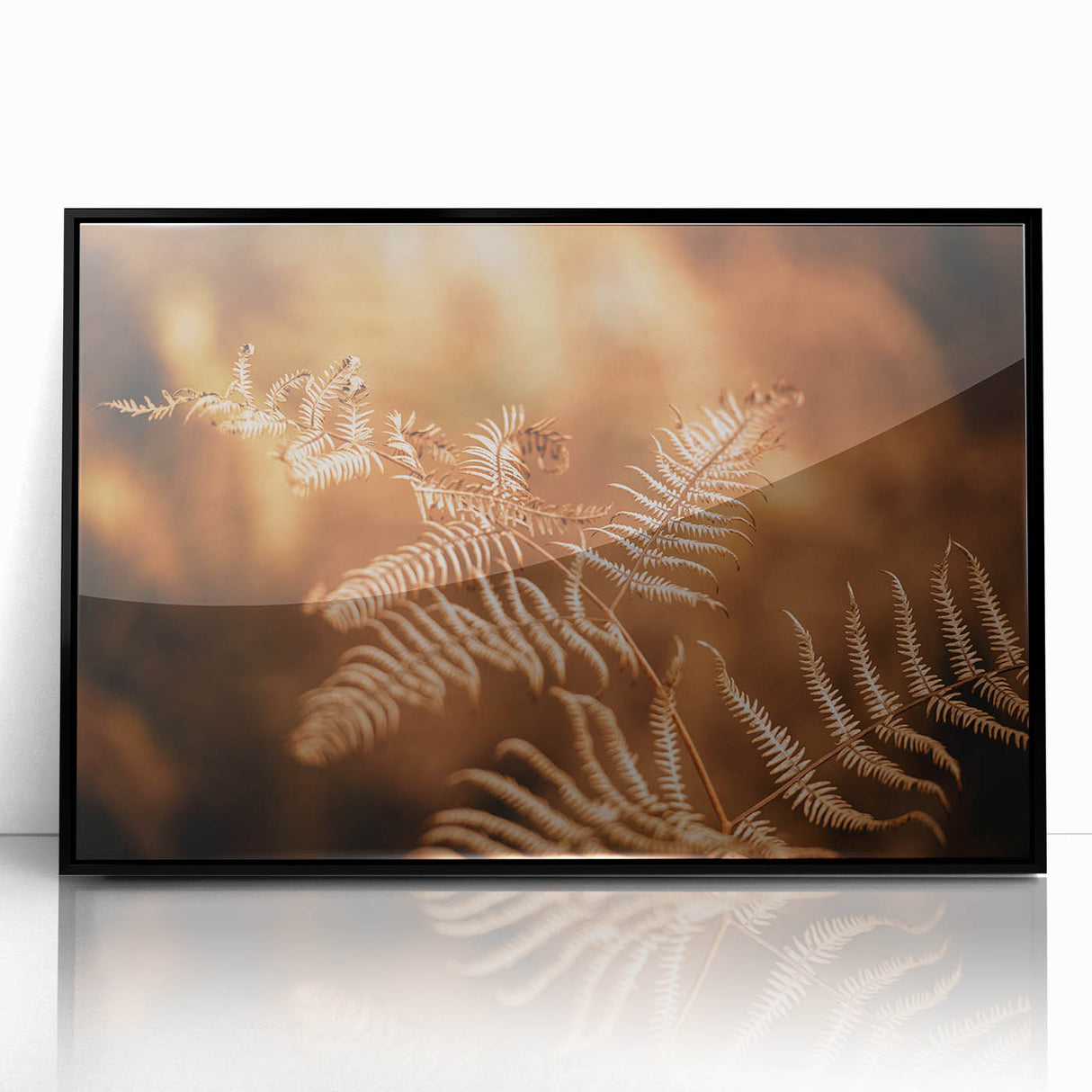 Rustic Fern Wall Art – Delicate Autumn Fern Leaves for Rustic Decor