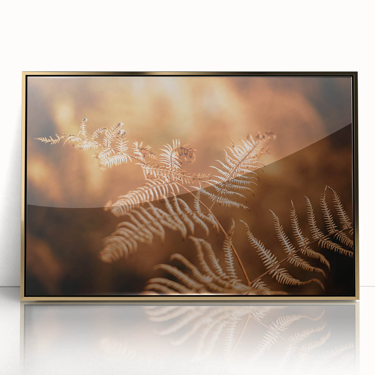 Rustic Fern Wall Art – Delicate Autumn Fern Leaves for Rustic Decor
