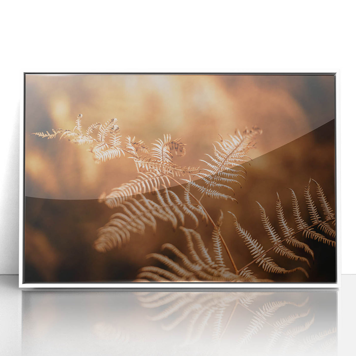 Rustic Fern Wall Art – Delicate Autumn Fern Leaves for Rustic Decor