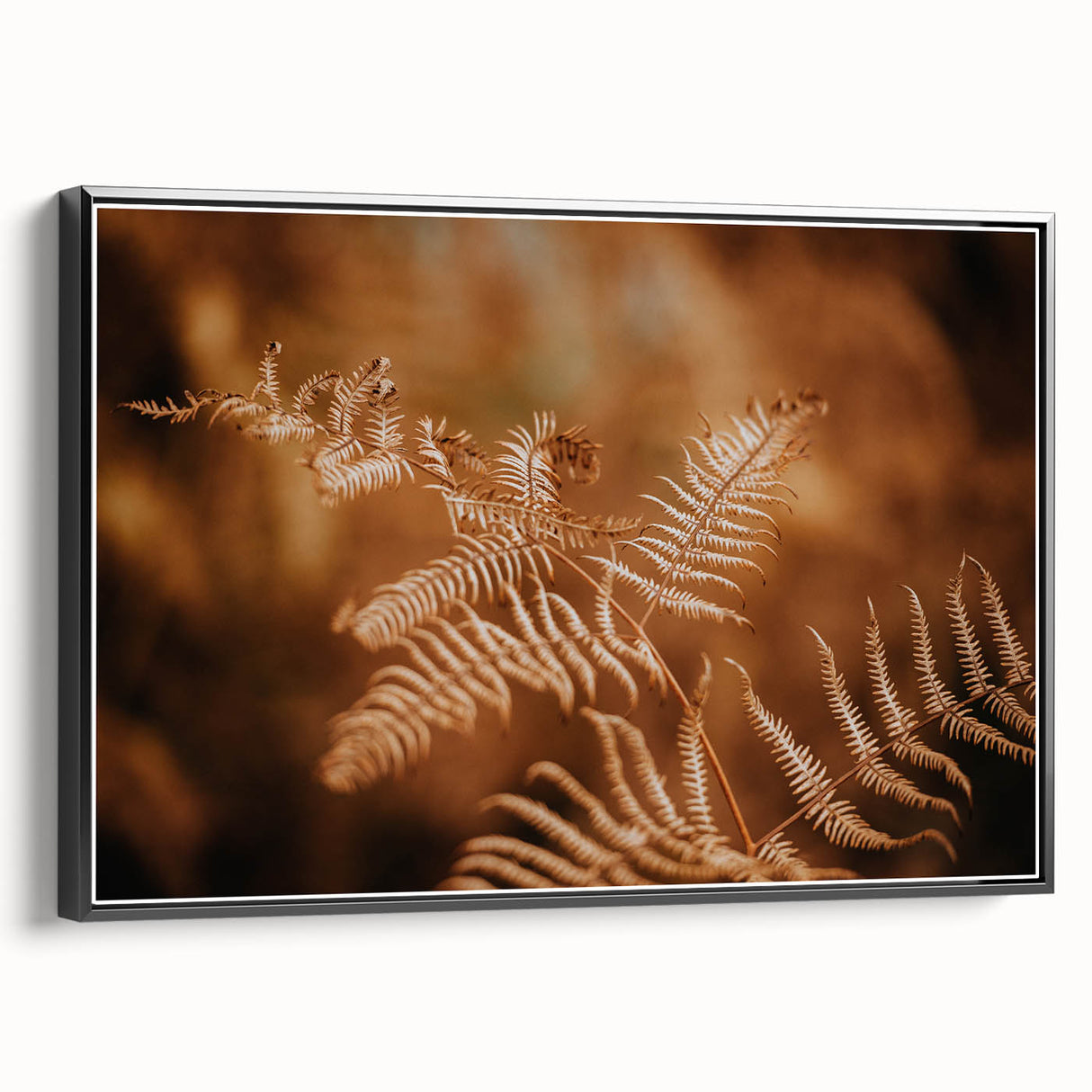 Rustic Fern Wall Art – Delicate Autumn Fern Leaves for Rustic Decor