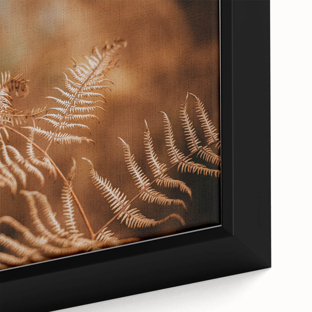 Rustic Fern Wall Art – Delicate Autumn Fern Leaves for Rustic Decor