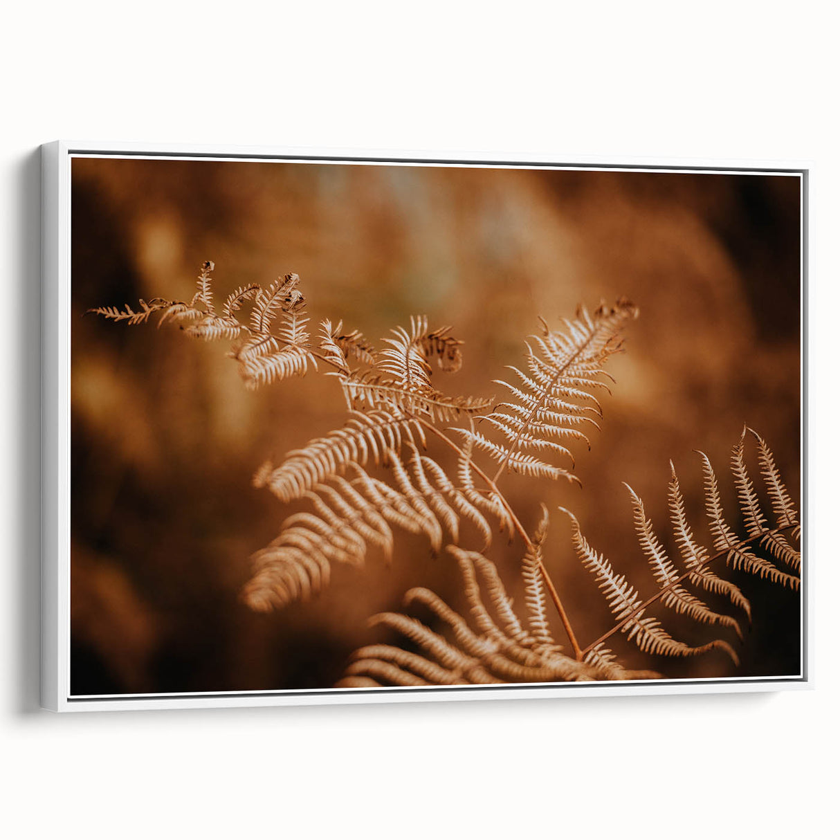 Rustic Fern Wall Art – Delicate Autumn Fern Leaves for Rustic Decor