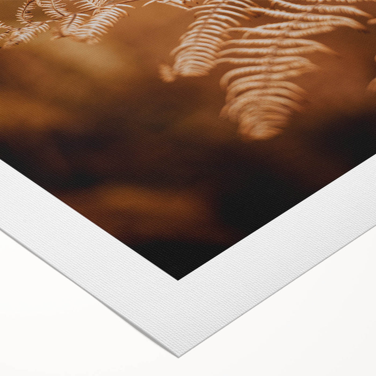 Rustic Fern Wall Art – Delicate Autumn Fern Leaves for Rustic Decor