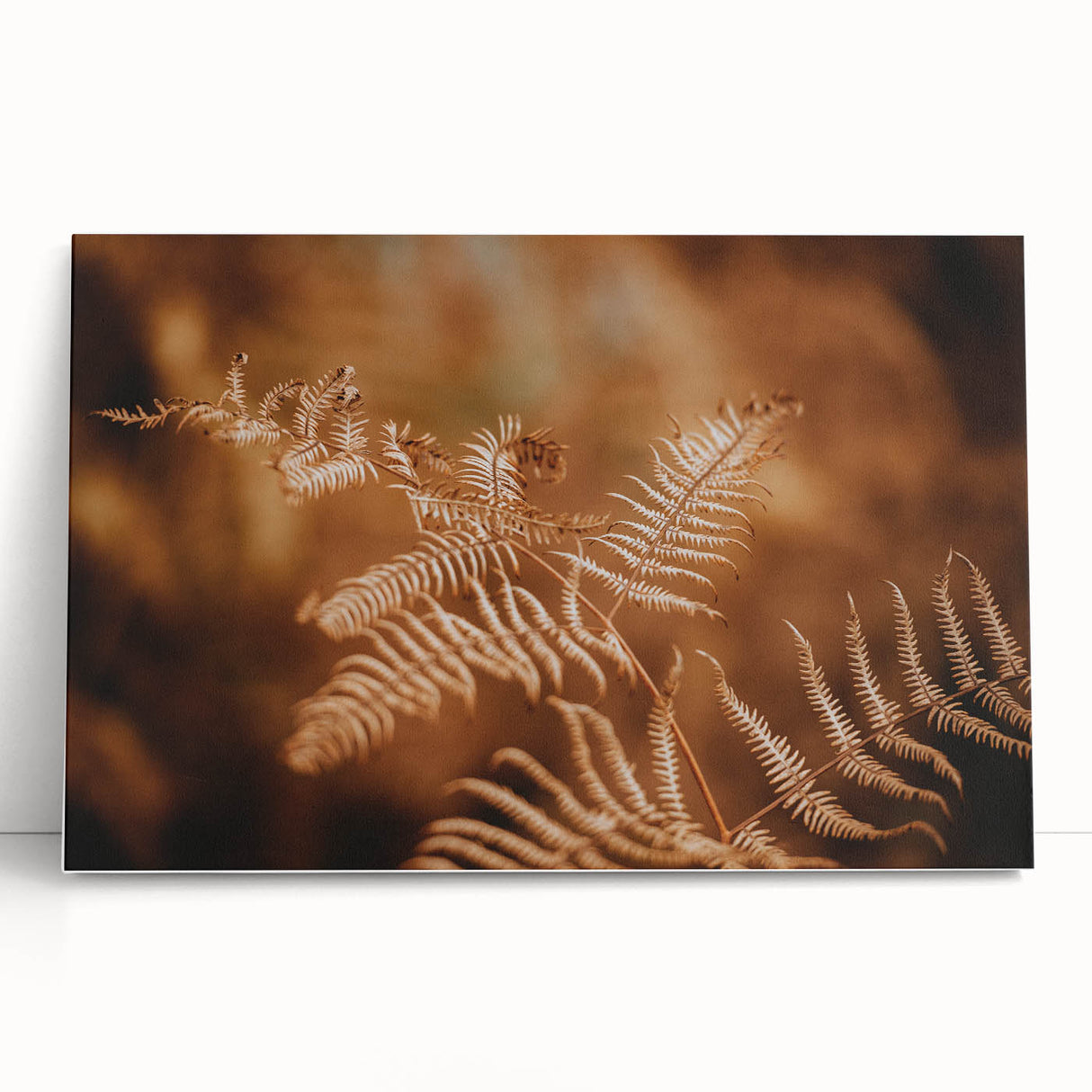 Rustic Fern Wall Art – Delicate Autumn Fern Leaves for Rustic Decor