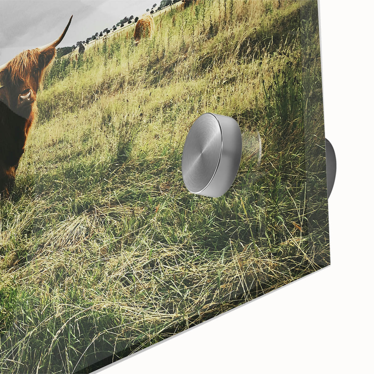 Rustic Highland Cow Wall Art – Scottish Highland Cattle in a Stormy Field