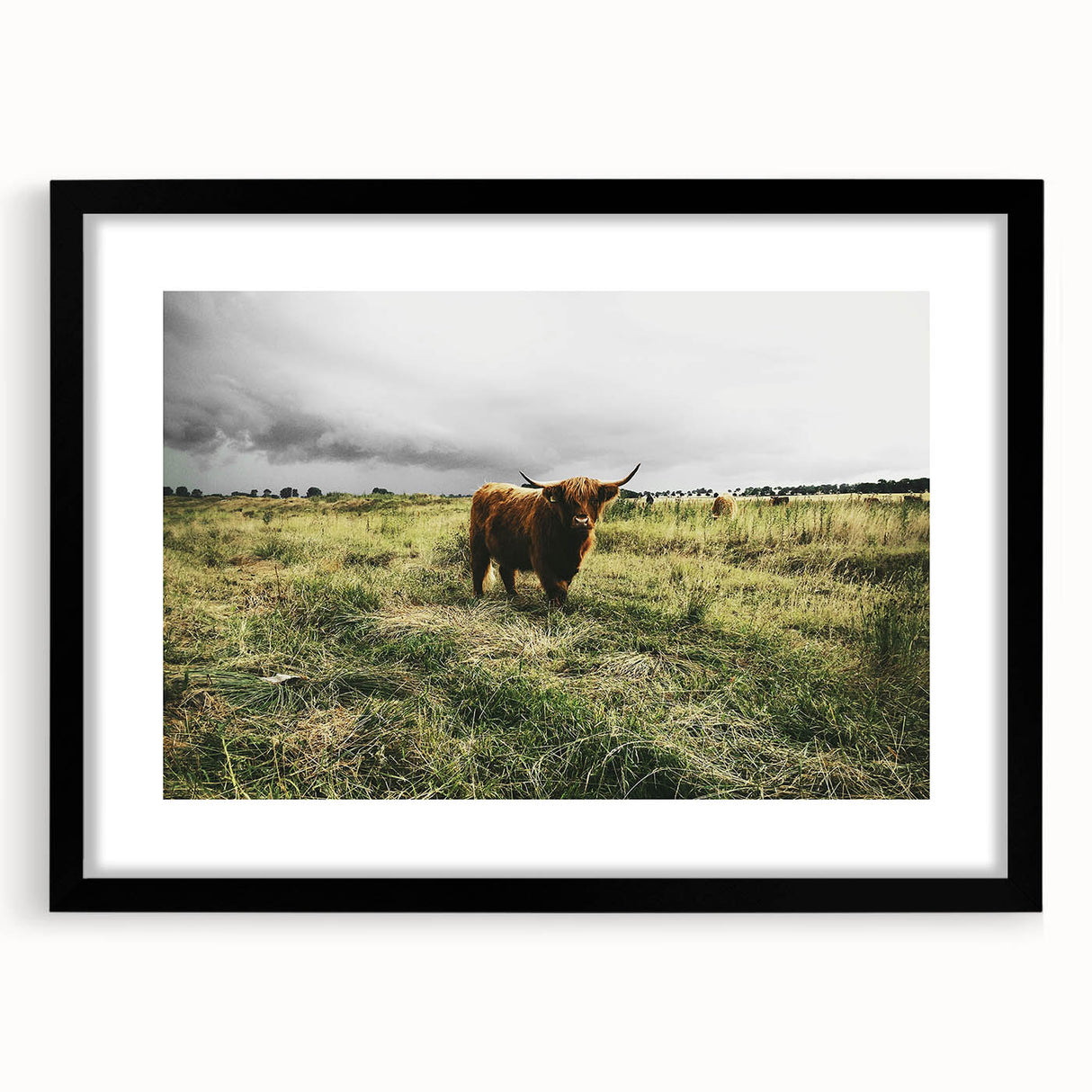 Rustic Highland Cow Wall Art – Scottish Highland Cattle in a Stormy Field