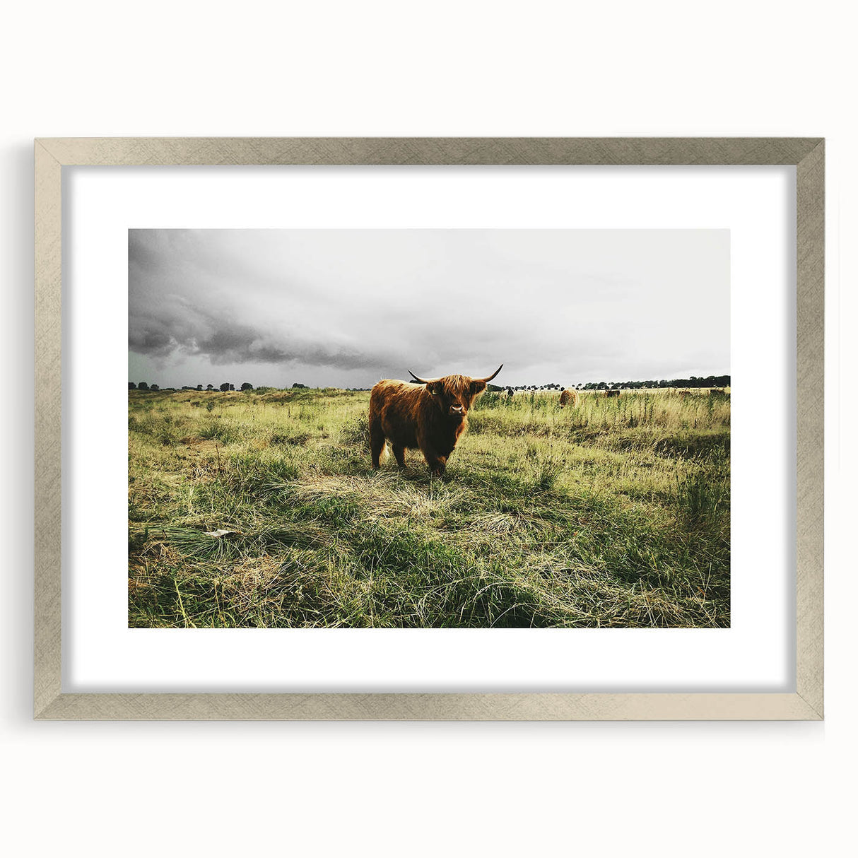 Rustic Highland Cow Wall Art – Scottish Highland Cattle in a Stormy Field