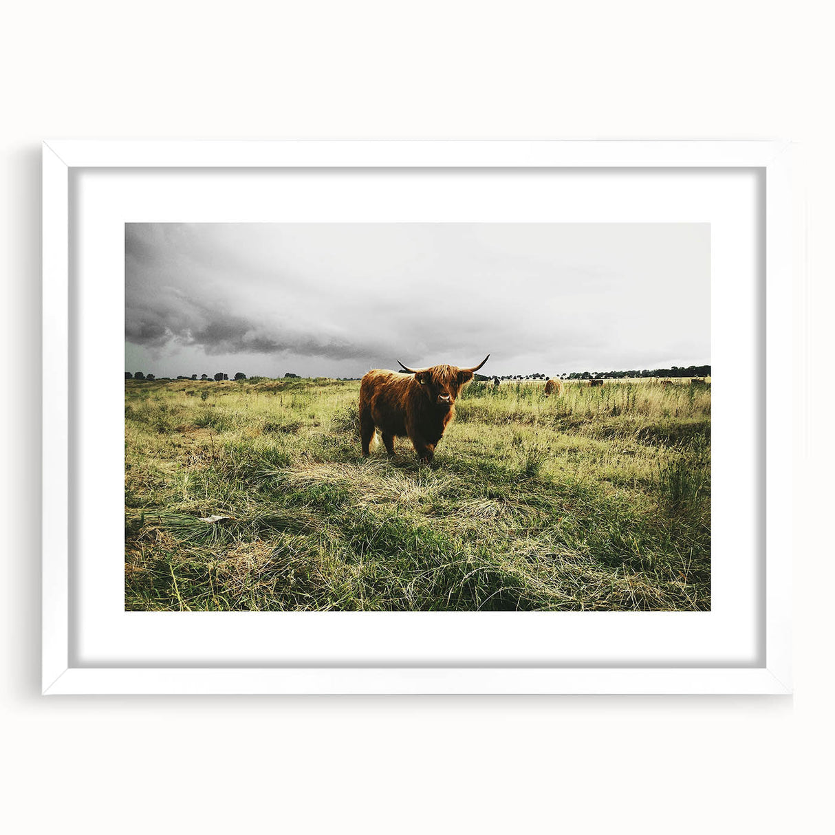 Rustic Highland Cow Wall Art – Scottish Highland Cattle in a Stormy Field