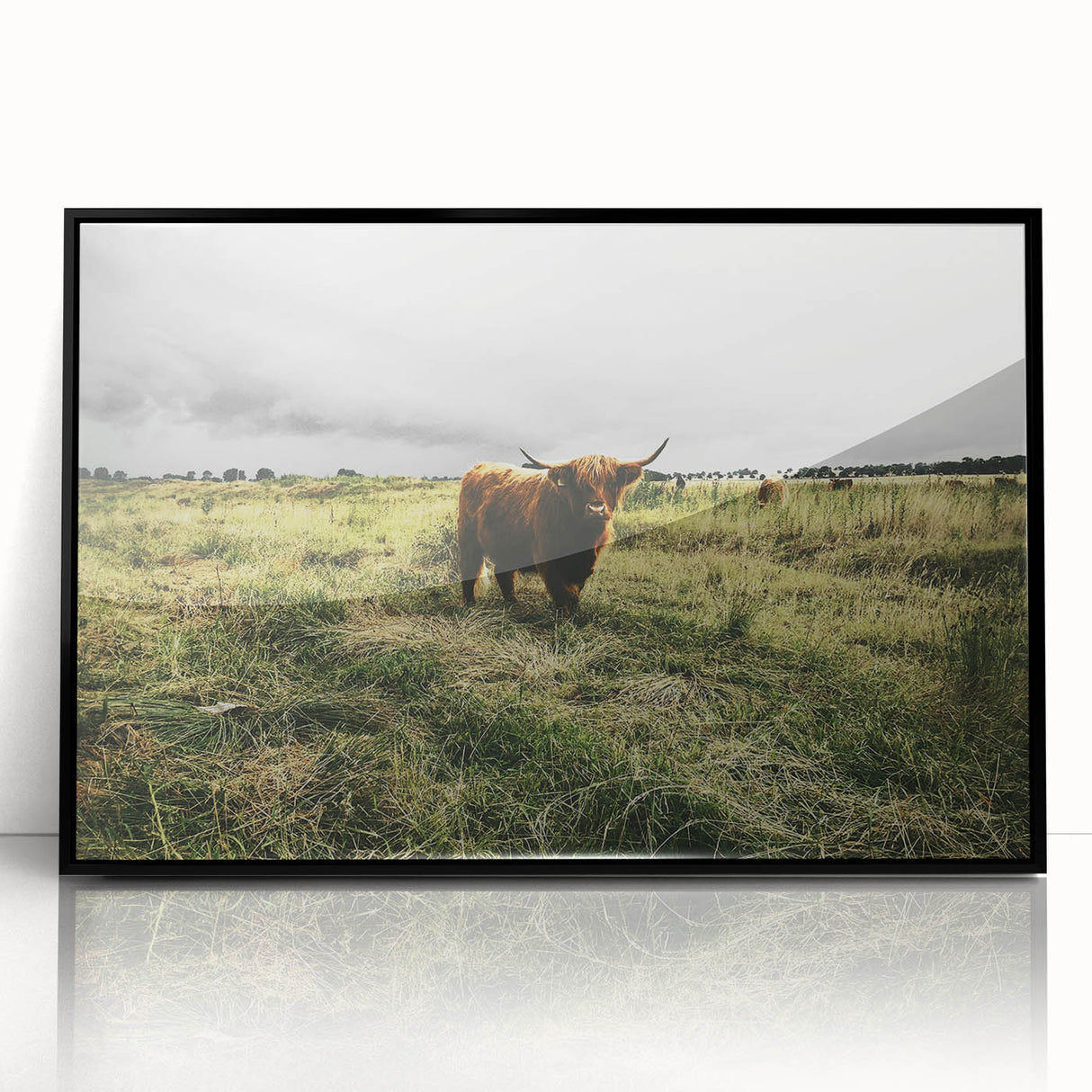 Rustic Highland Cow Wall Art – Scottish Highland Cattle in a Stormy Field