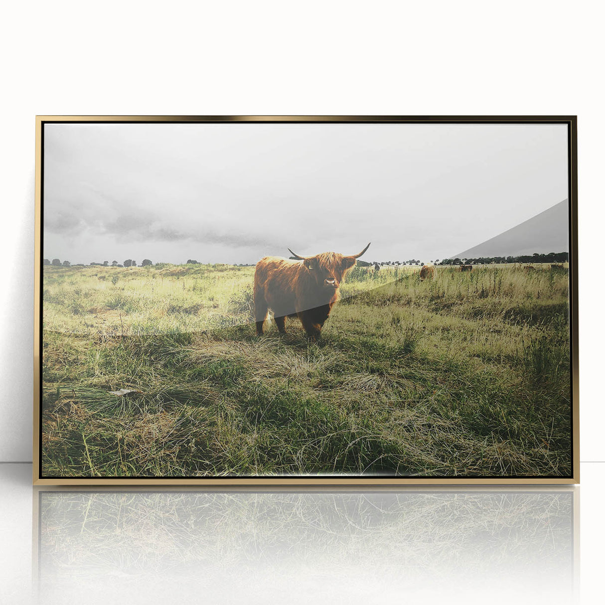 Rustic Highland Cow Wall Art – Scottish Highland Cattle in a Stormy Field