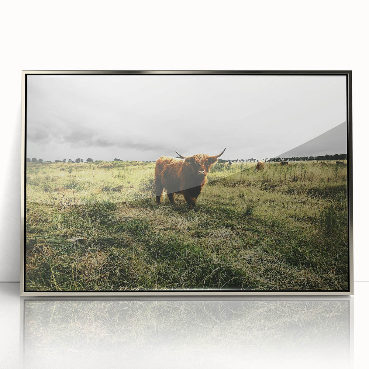 Rustic Highland Cow Wall Art – Scottish Highland Cattle in a Stormy Field
