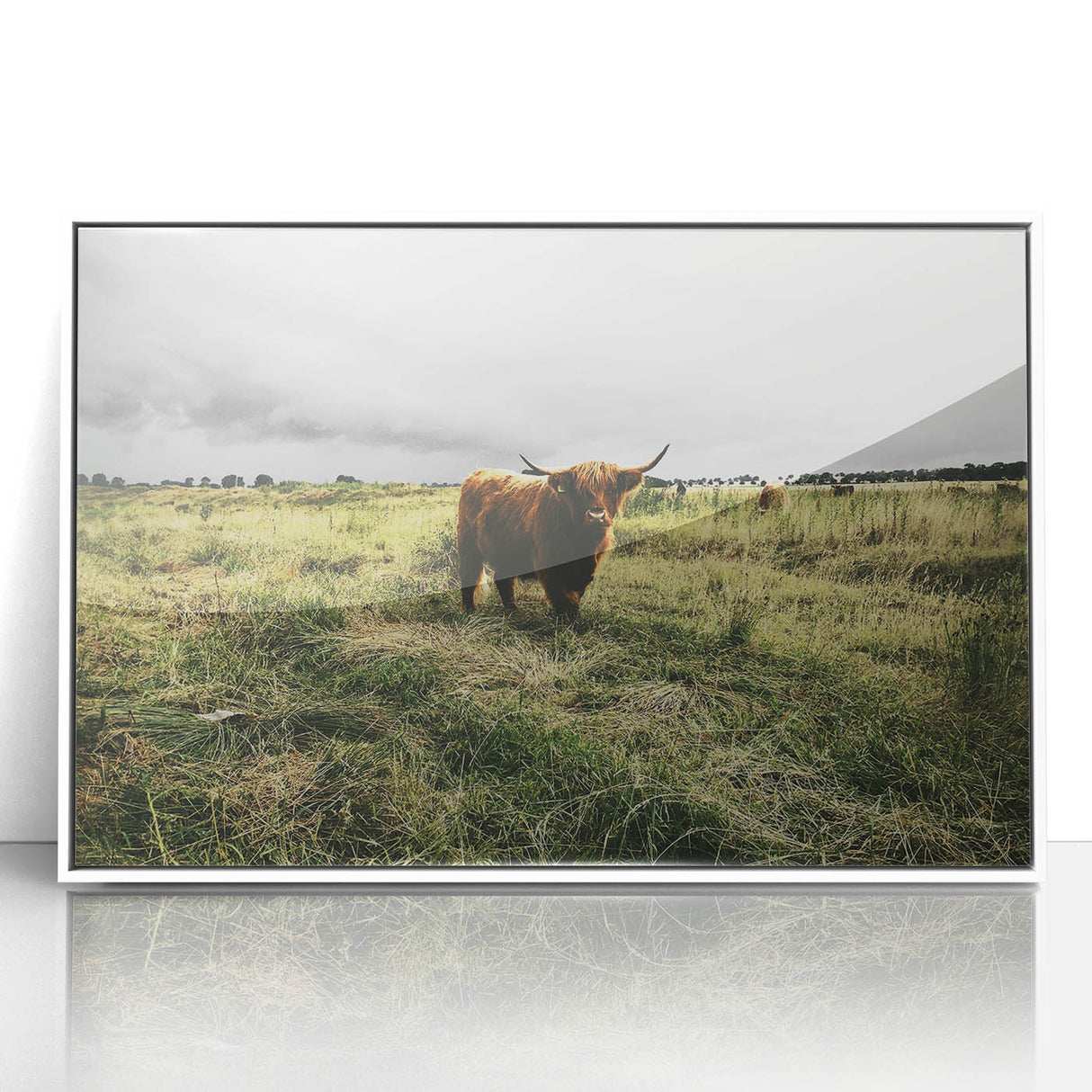 Rustic Highland Cow Wall Art – Scottish Highland Cattle in a Stormy Field