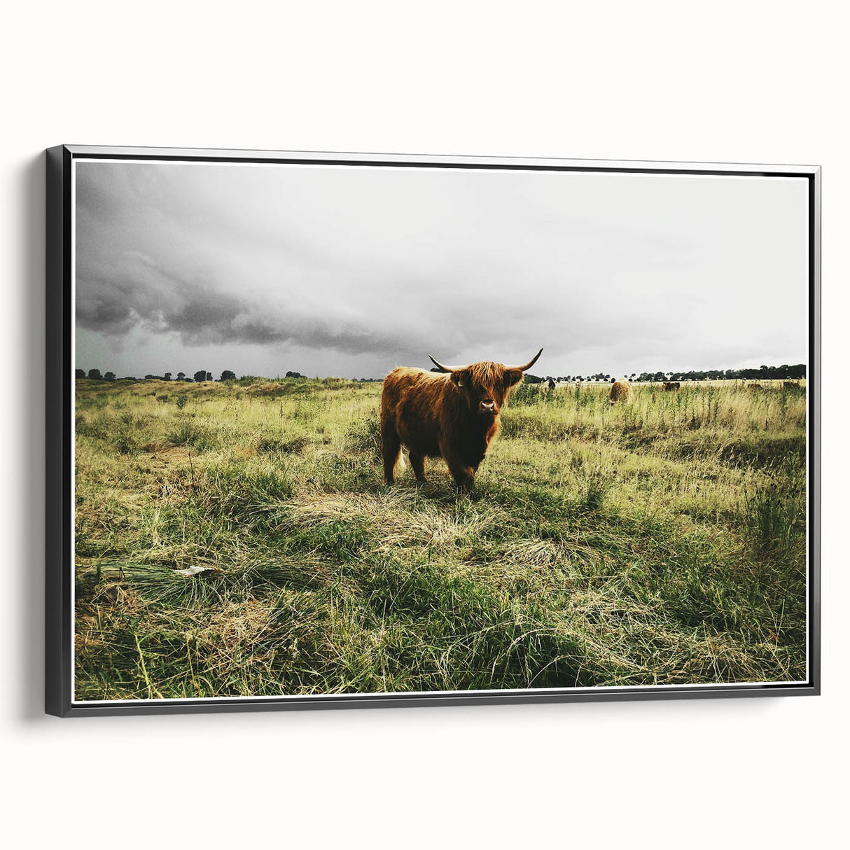 Rustic Highland Cow Wall Art – Scottish Highland Cattle in a Stormy Field