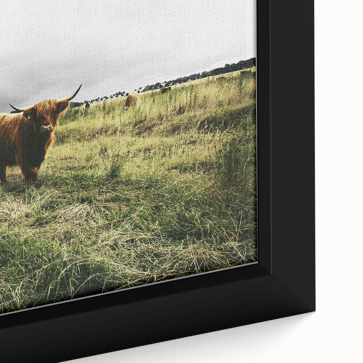 Rustic Highland Cow Wall Art – Scottish Highland Cattle in a Stormy Field