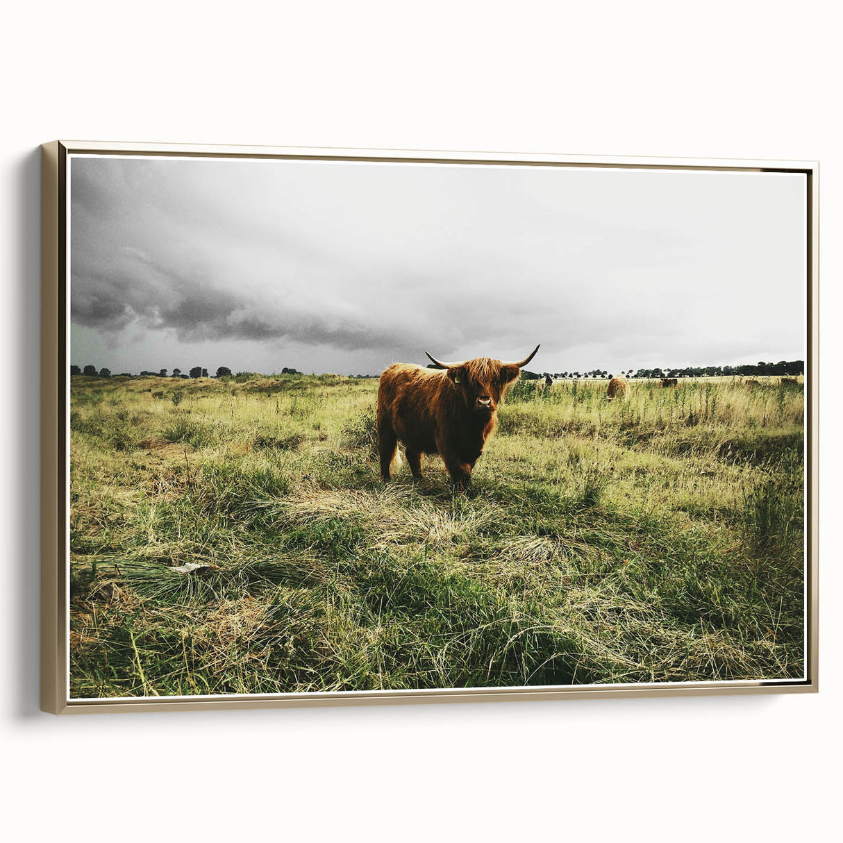 Rustic Highland Cow Wall Art – Scottish Highland Cattle in a Stormy Field