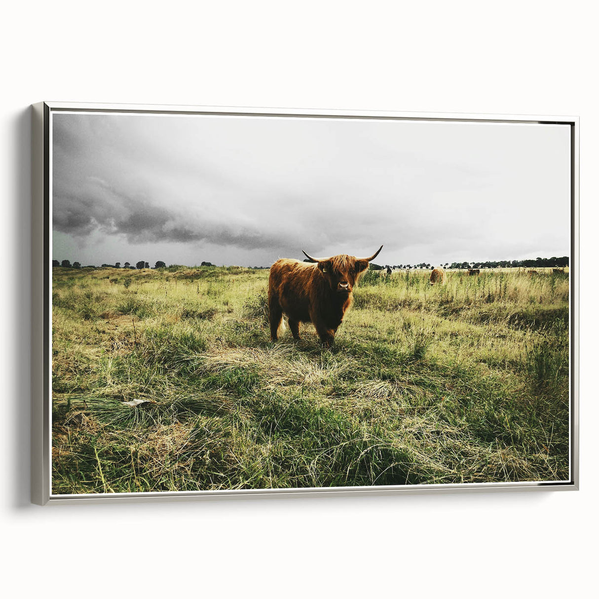 Rustic Highland Cow Wall Art – Scottish Highland Cattle in a Stormy Field