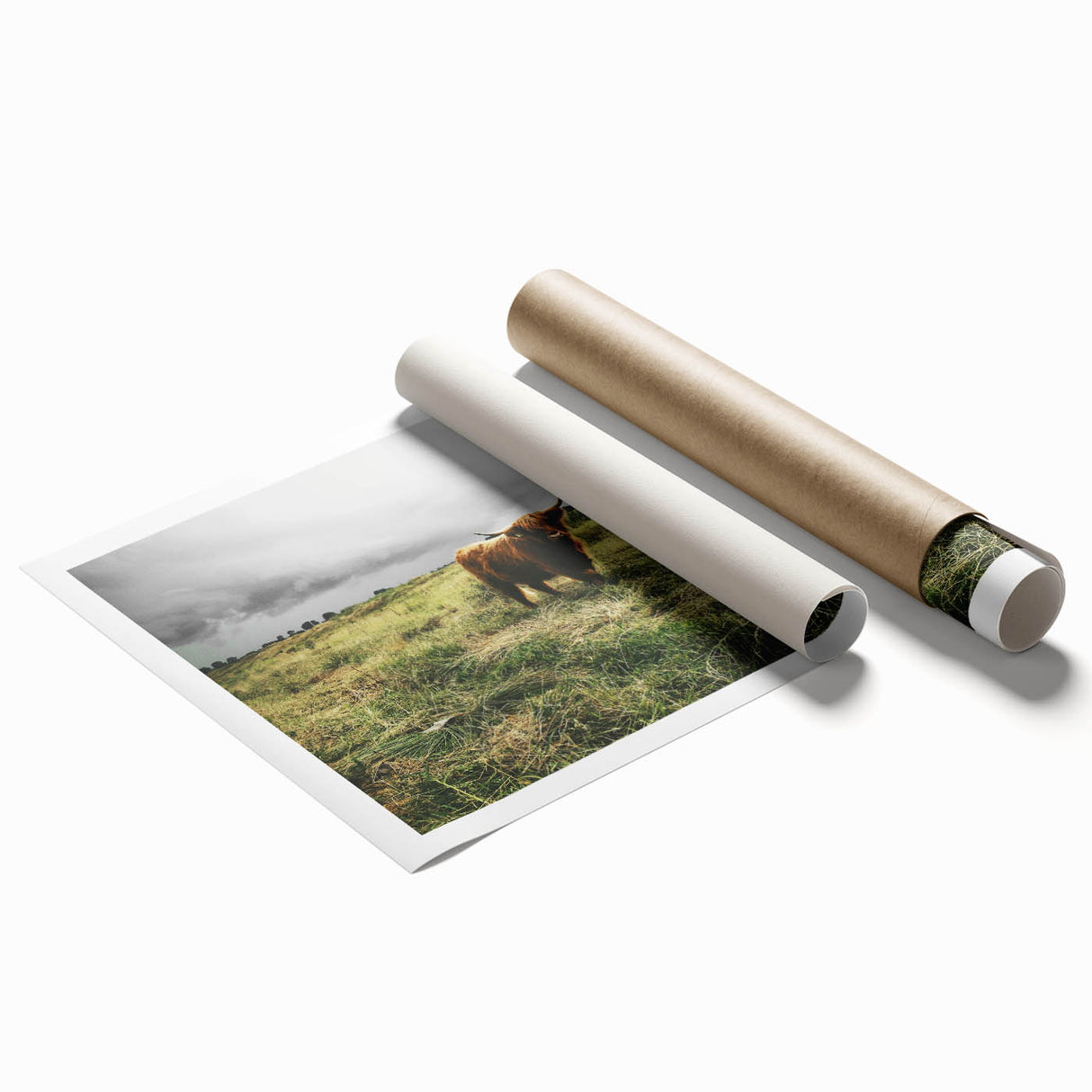 Rustic Highland Cow Wall Art – Scottish Highland Cattle in a Stormy Field