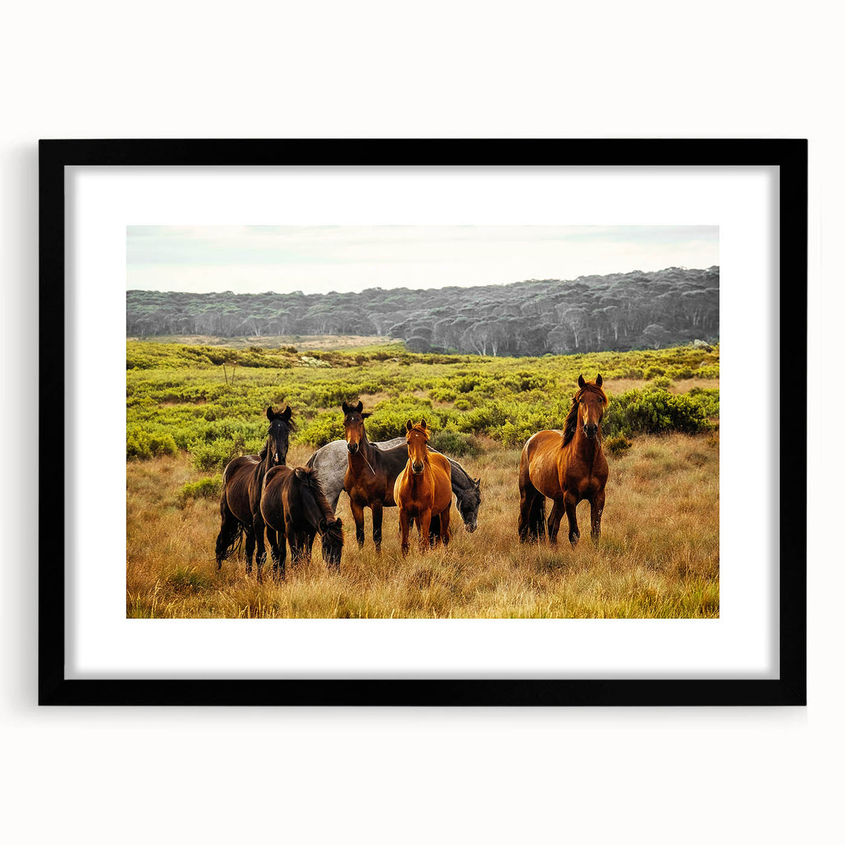 Rustic Wild Horses Wall Art – Majestic Horses Grazing in Open Field