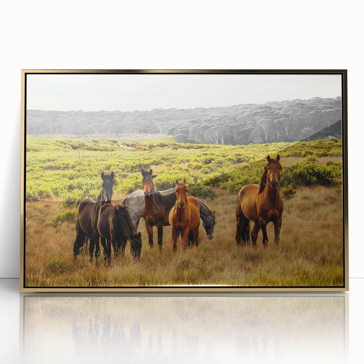 Rustic Wild Horses Wall Art – Majestic Horses Grazing in Open Field