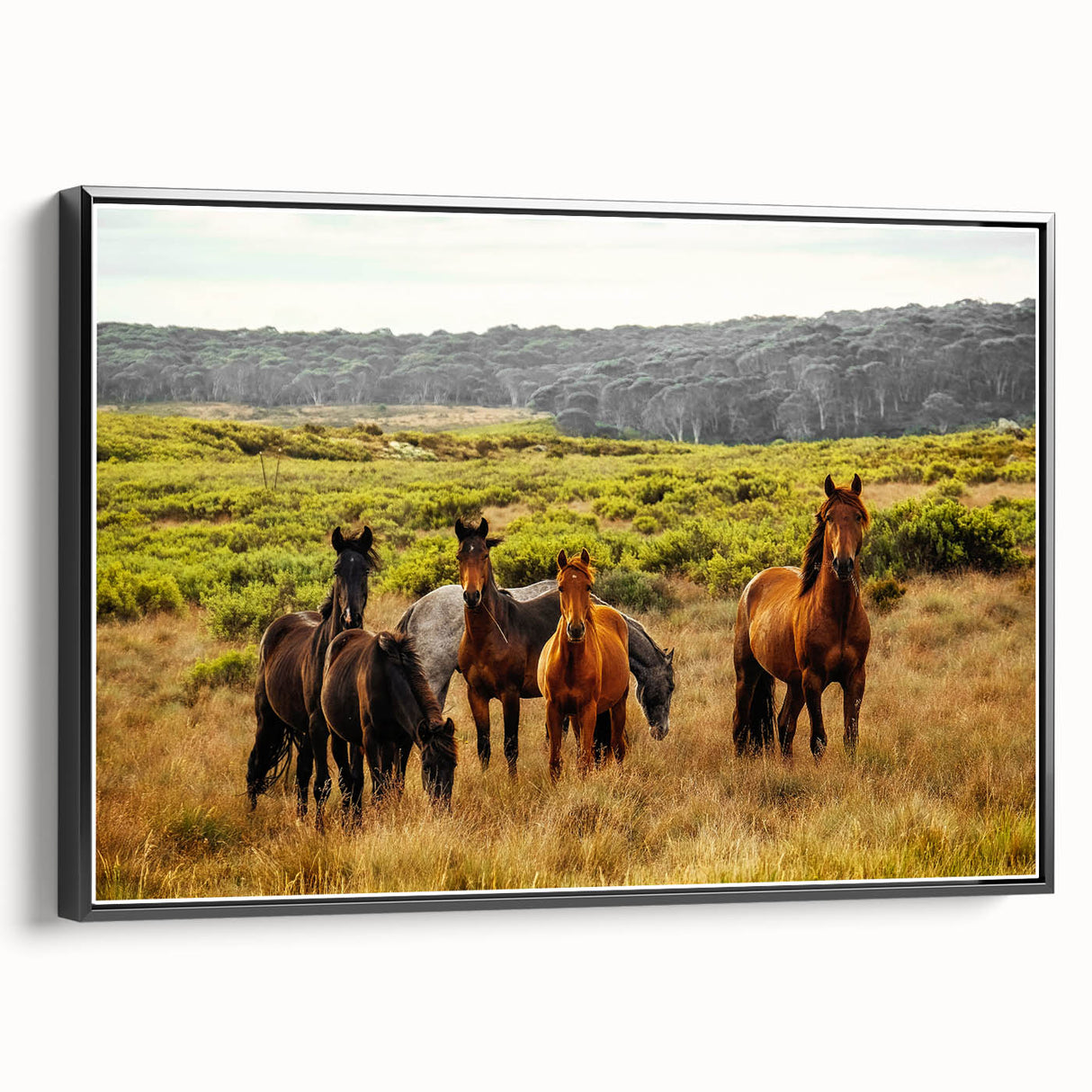 Rustic Wild Horses Wall Art – Majestic Horses Grazing in Open Field