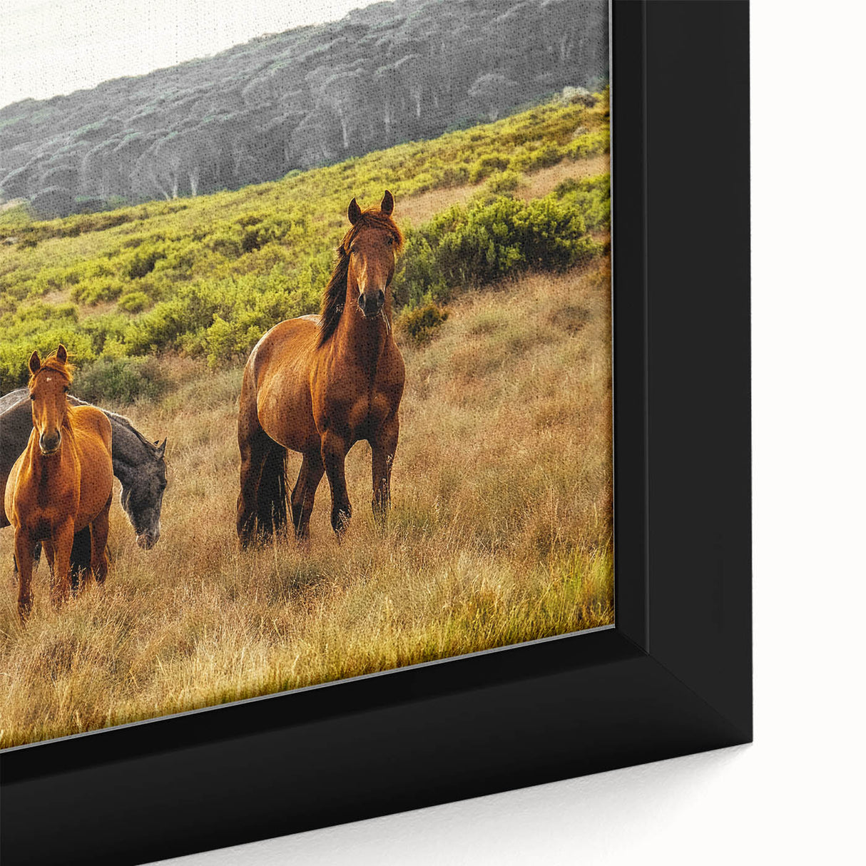 Rustic Wild Horses Wall Art – Majestic Horses Grazing in Open Field