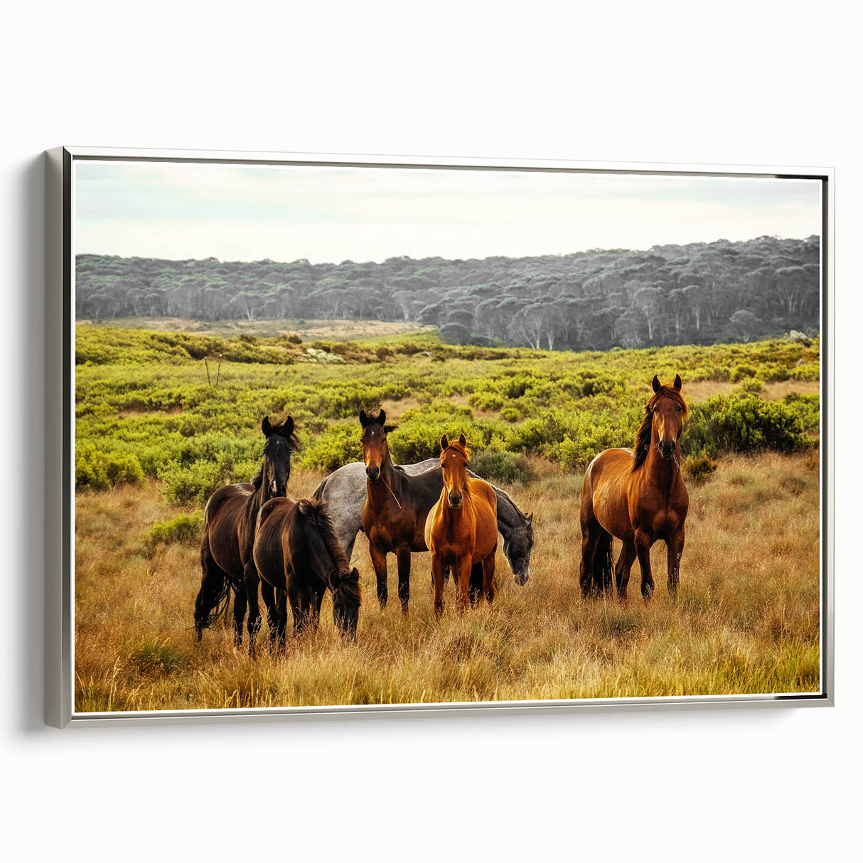 Rustic Wild Horses Wall Art – Majestic Horses Grazing in Open Field