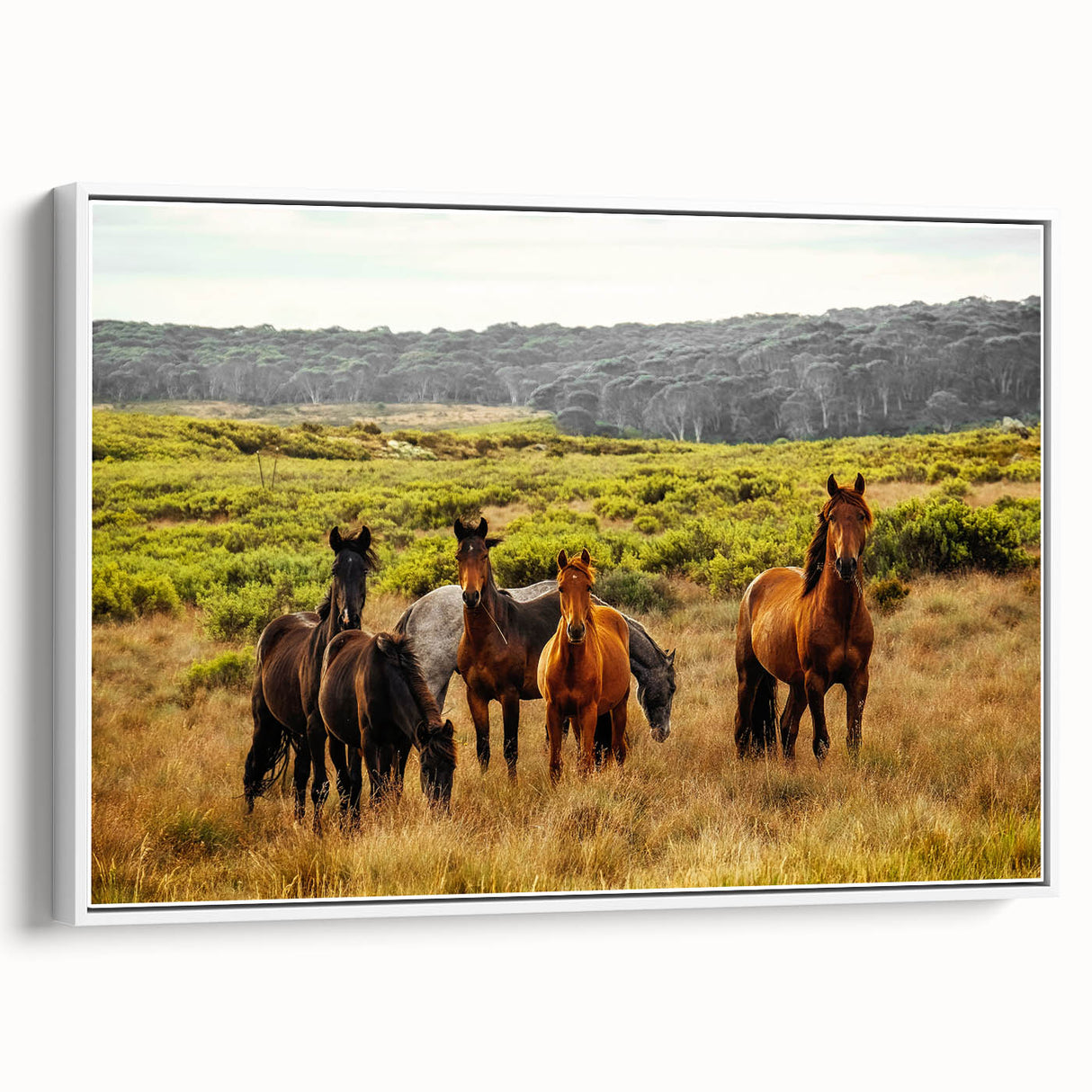 Rustic Wild Horses Wall Art – Majestic Horses Grazing in Open Field