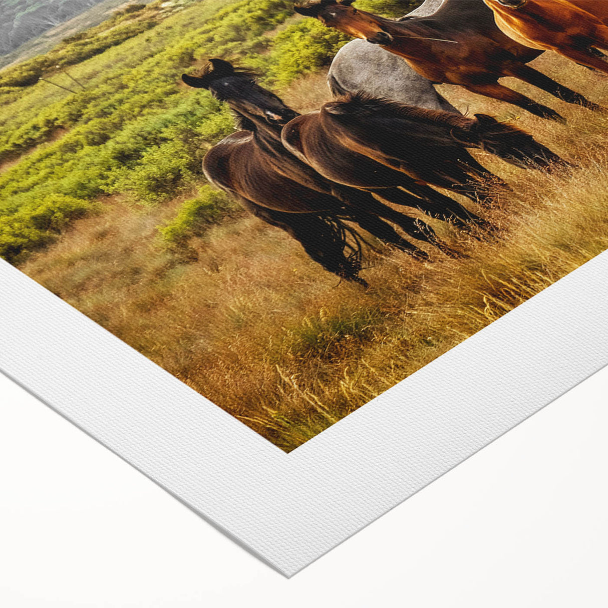 Rustic Wild Horses Wall Art – Majestic Horses Grazing in Open Field