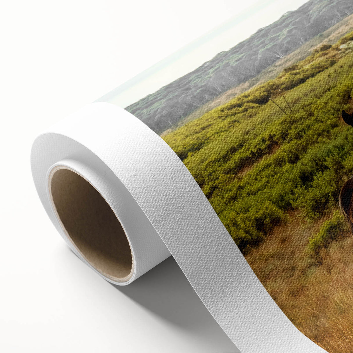 Rustic Wild Horses Wall Art – Majestic Horses Grazing in Open Field