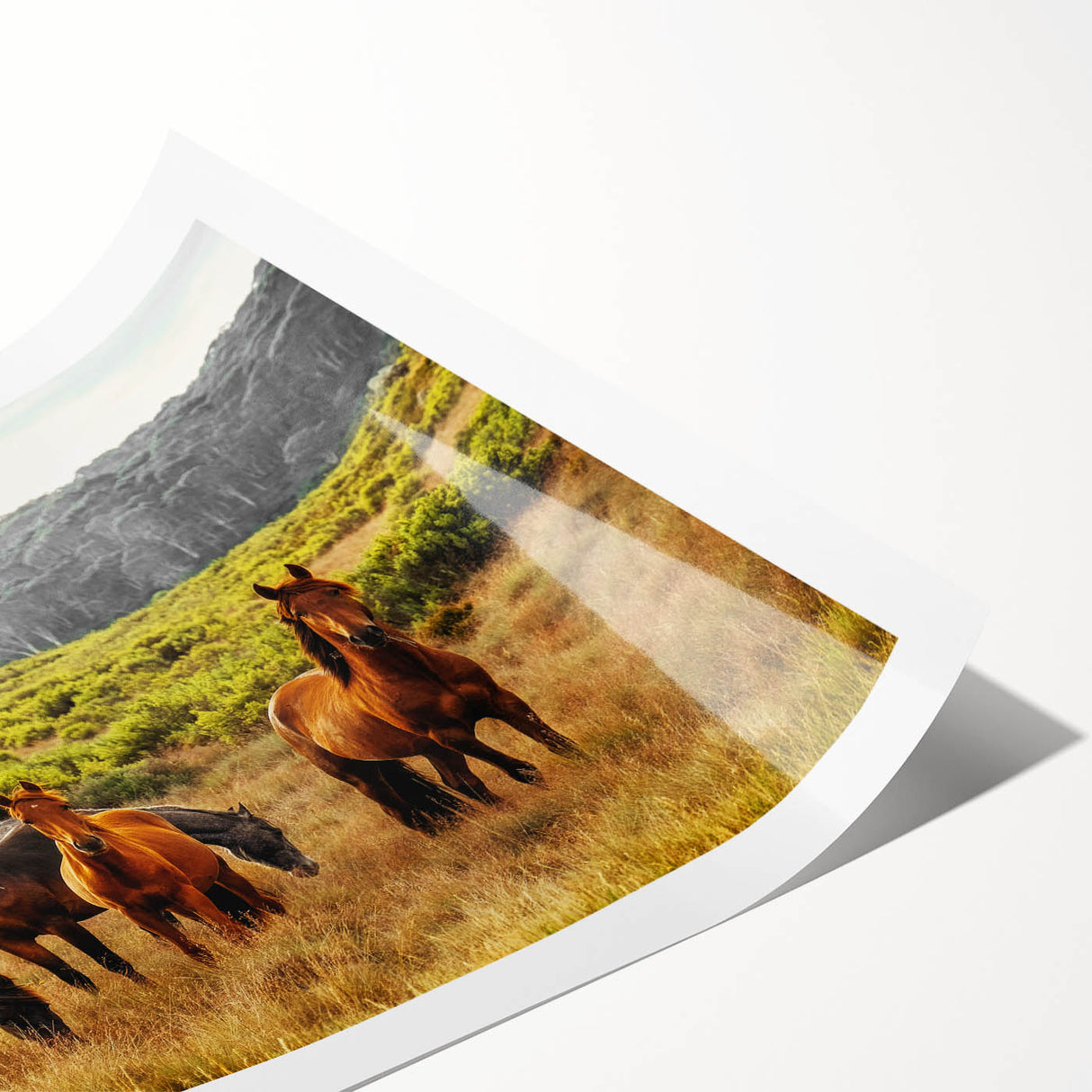 Rustic Wild Horses Wall Art – Majestic Horses Grazing in Open Field