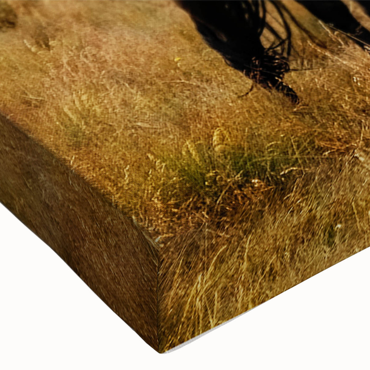 Rustic Wild Horses Wall Art – Majestic Horses Grazing in Open Field