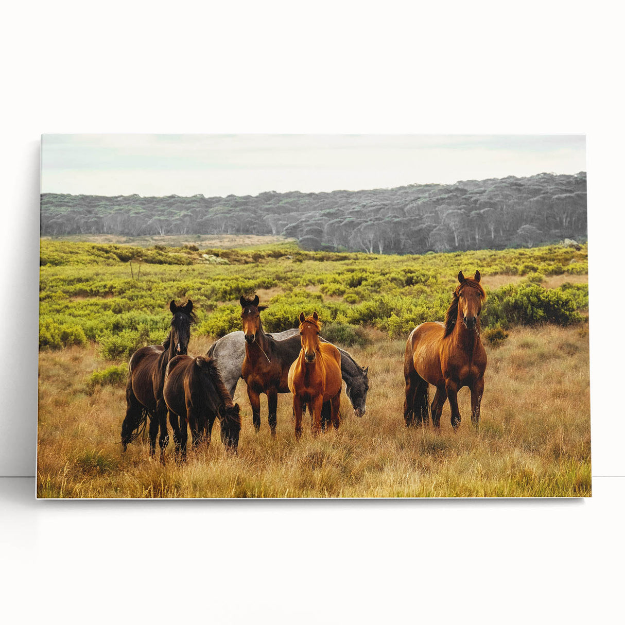 Rustic Wild Horses Wall Art – Majestic Horses Grazing in Open Field