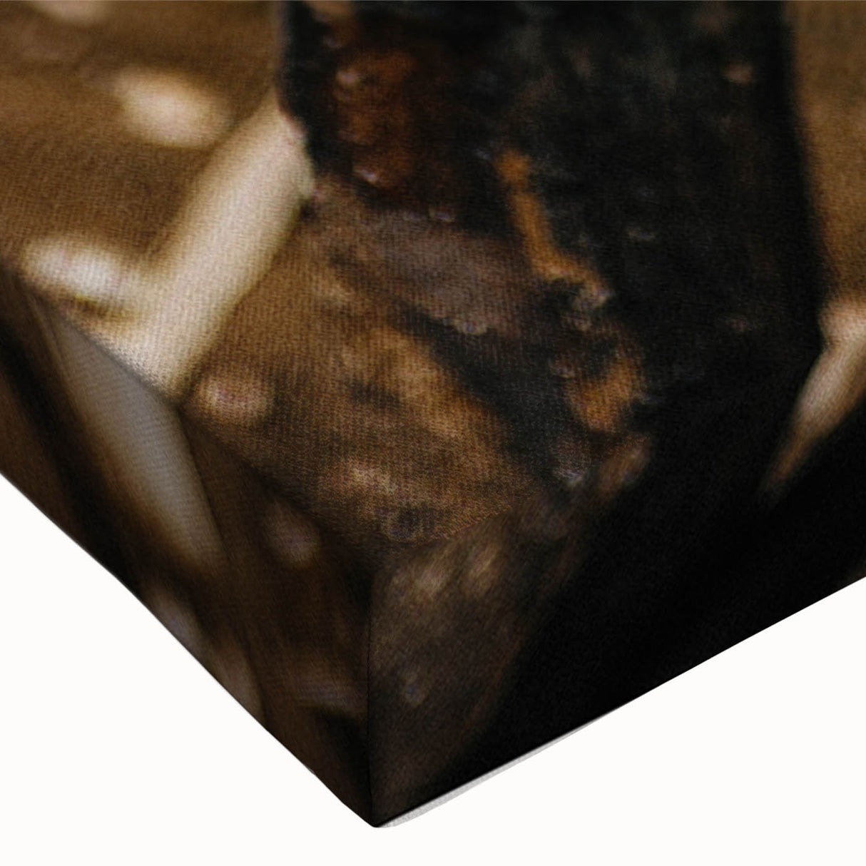 Rustic Woodworking Wall Art – Artisan Wood Shavings in Workshop