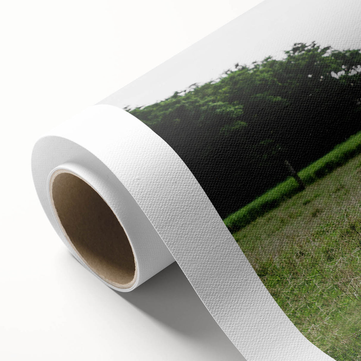 Highland Cattle in Field Rustic Wall Art – Farmhouse Landscape Decor Print