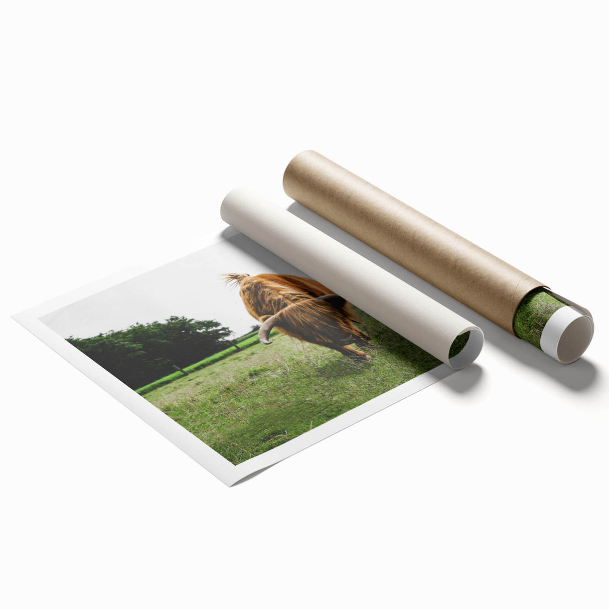 Highland Cattle in Field Rustic Wall Art – Farmhouse Landscape Decor Print