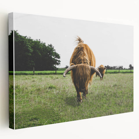 Highland Cattle in Field Rustic Wall Art – Farmhouse Landscape Decor Print