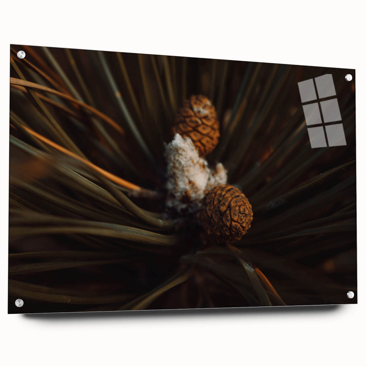 Pinecones Close-Up Rustic Wall Art – Farmhouse Nature-Inspired Decor Print