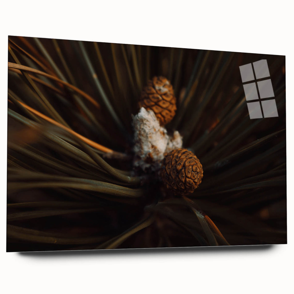 Pinecones Close-Up Rustic Wall Art – Farmhouse Nature-Inspired Decor Print