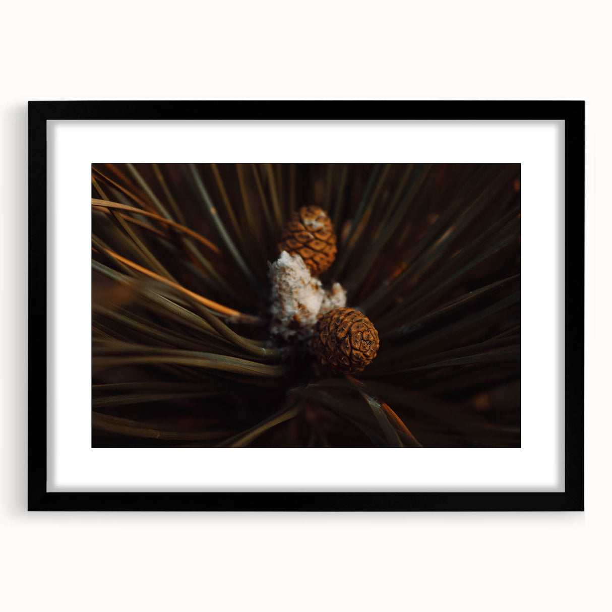 Pinecones Close-Up Rustic Wall Art – Farmhouse Nature-Inspired Decor Print