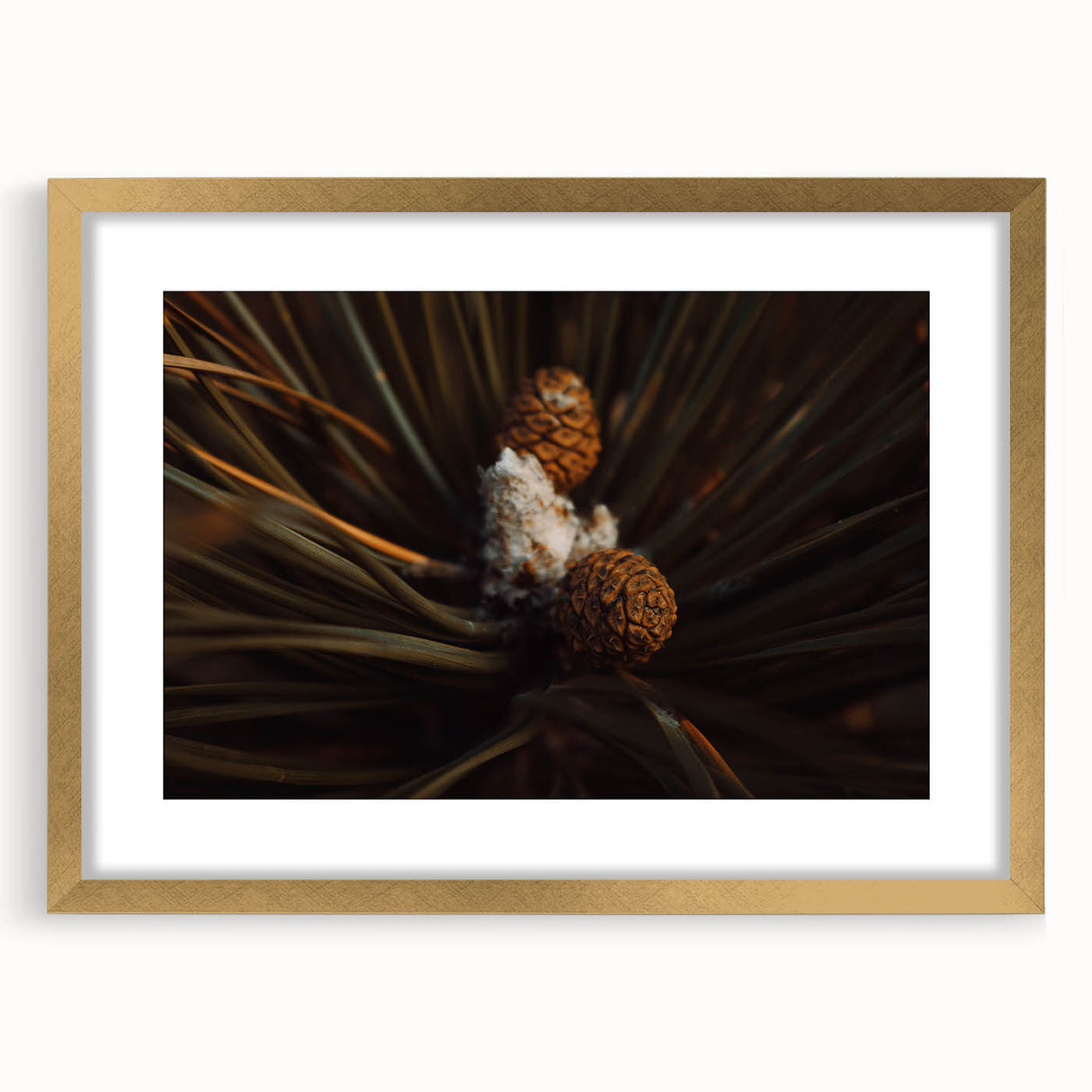 Pinecones Close-Up Rustic Wall Art – Farmhouse Nature-Inspired Decor Print