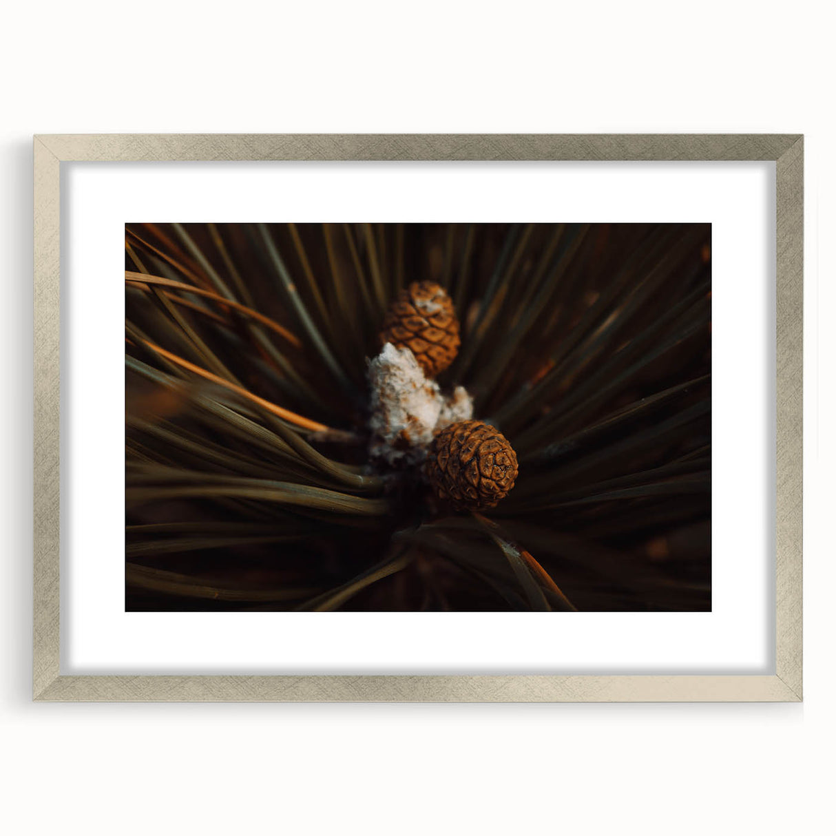 Pinecones Close-Up Rustic Wall Art – Farmhouse Nature-Inspired Decor Print
