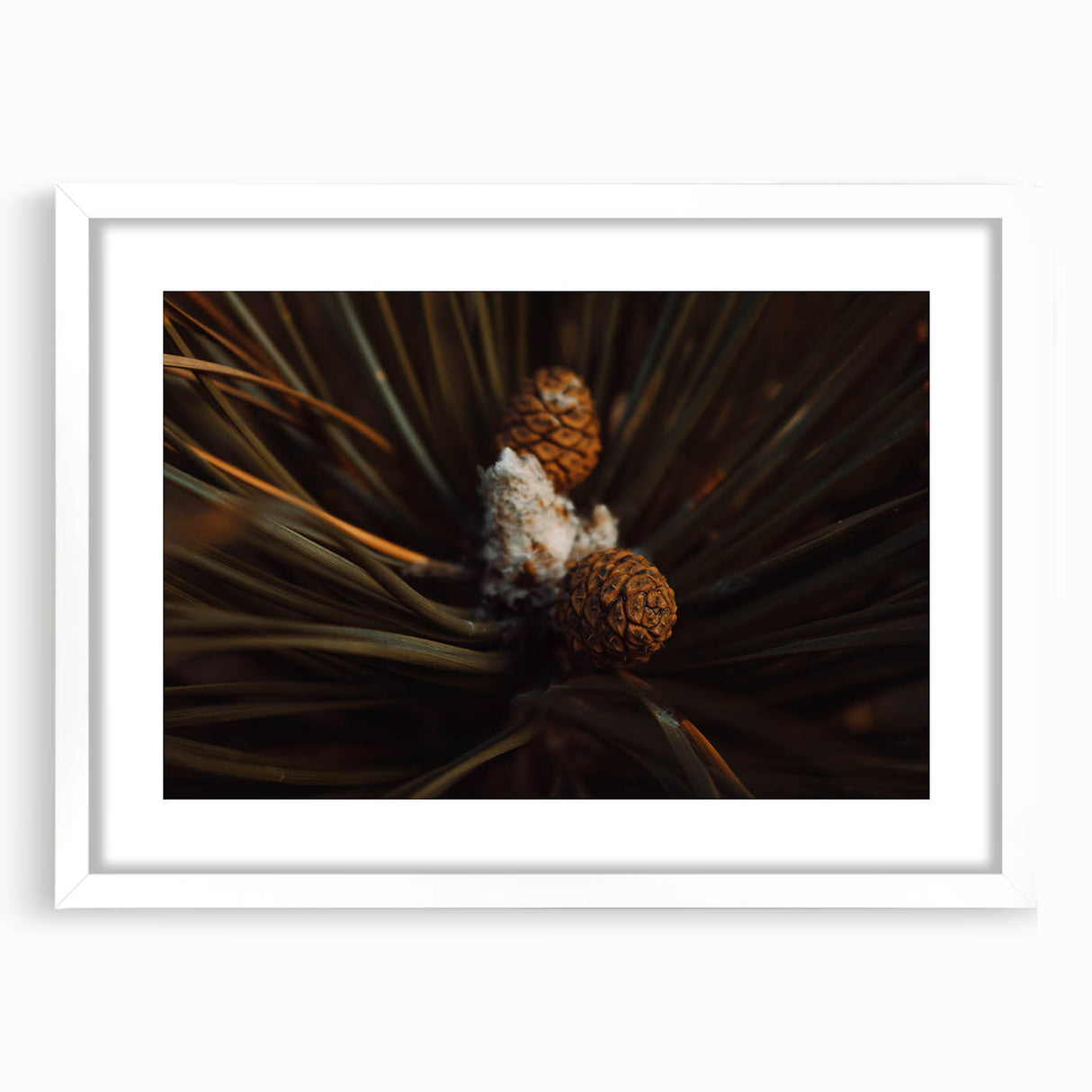 Pinecones Close-Up Rustic Wall Art – Farmhouse Nature-Inspired Decor Print