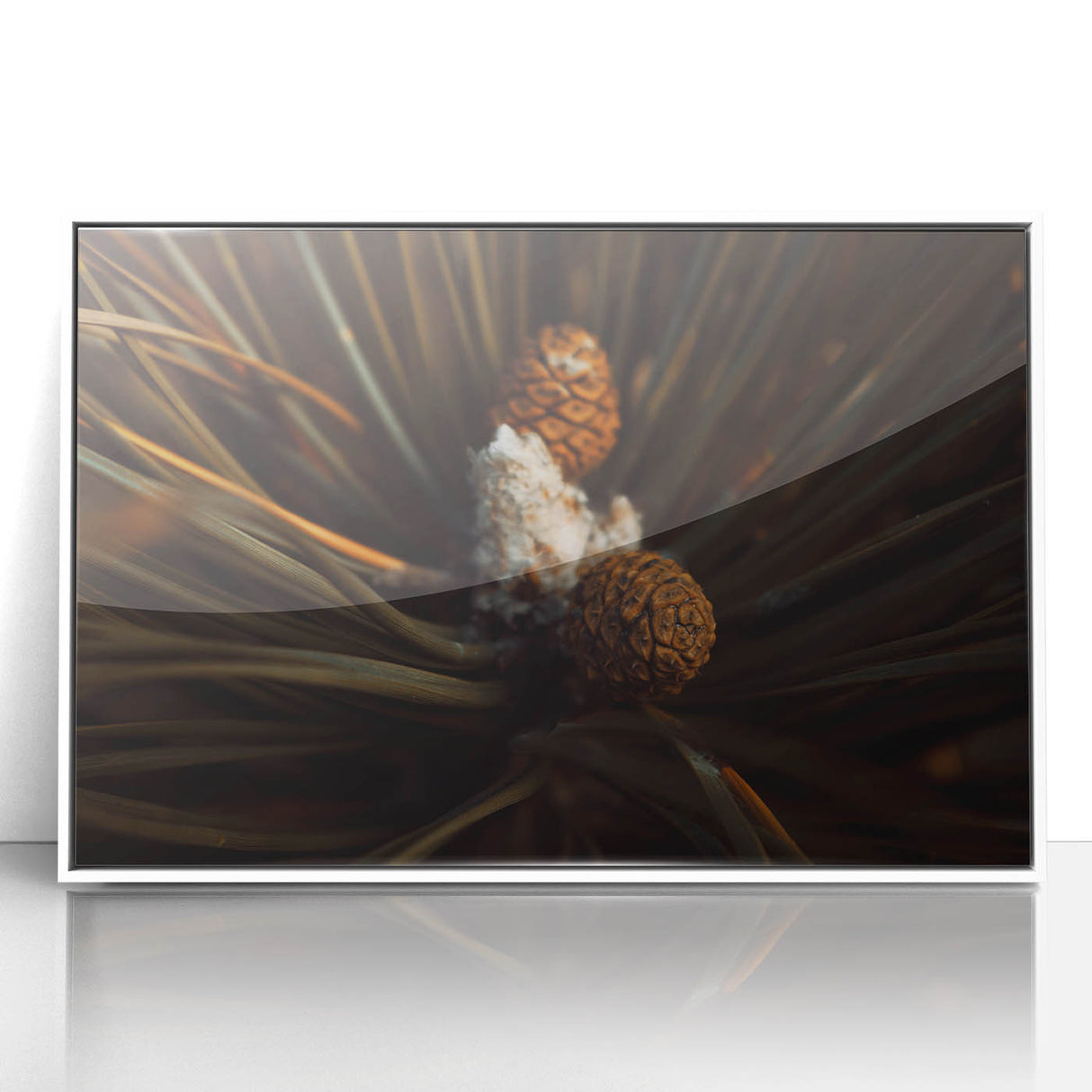 Pinecones Close-Up Rustic Wall Art – Farmhouse Nature-Inspired Decor Print