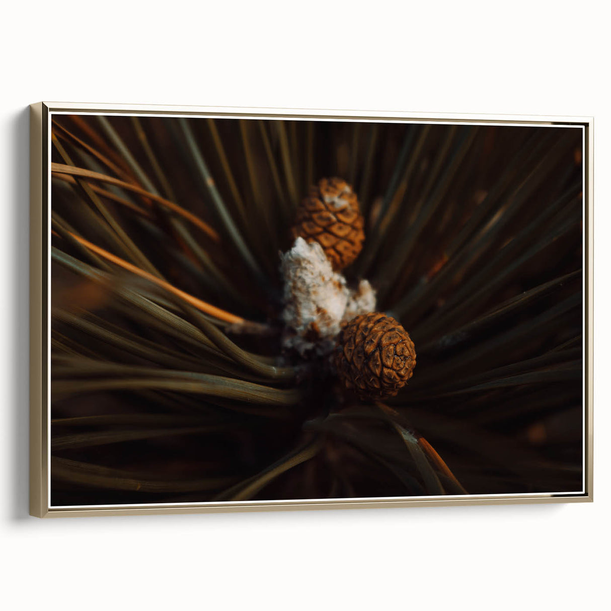 Pinecones Close-Up Rustic Wall Art – Farmhouse Nature-Inspired Decor Print