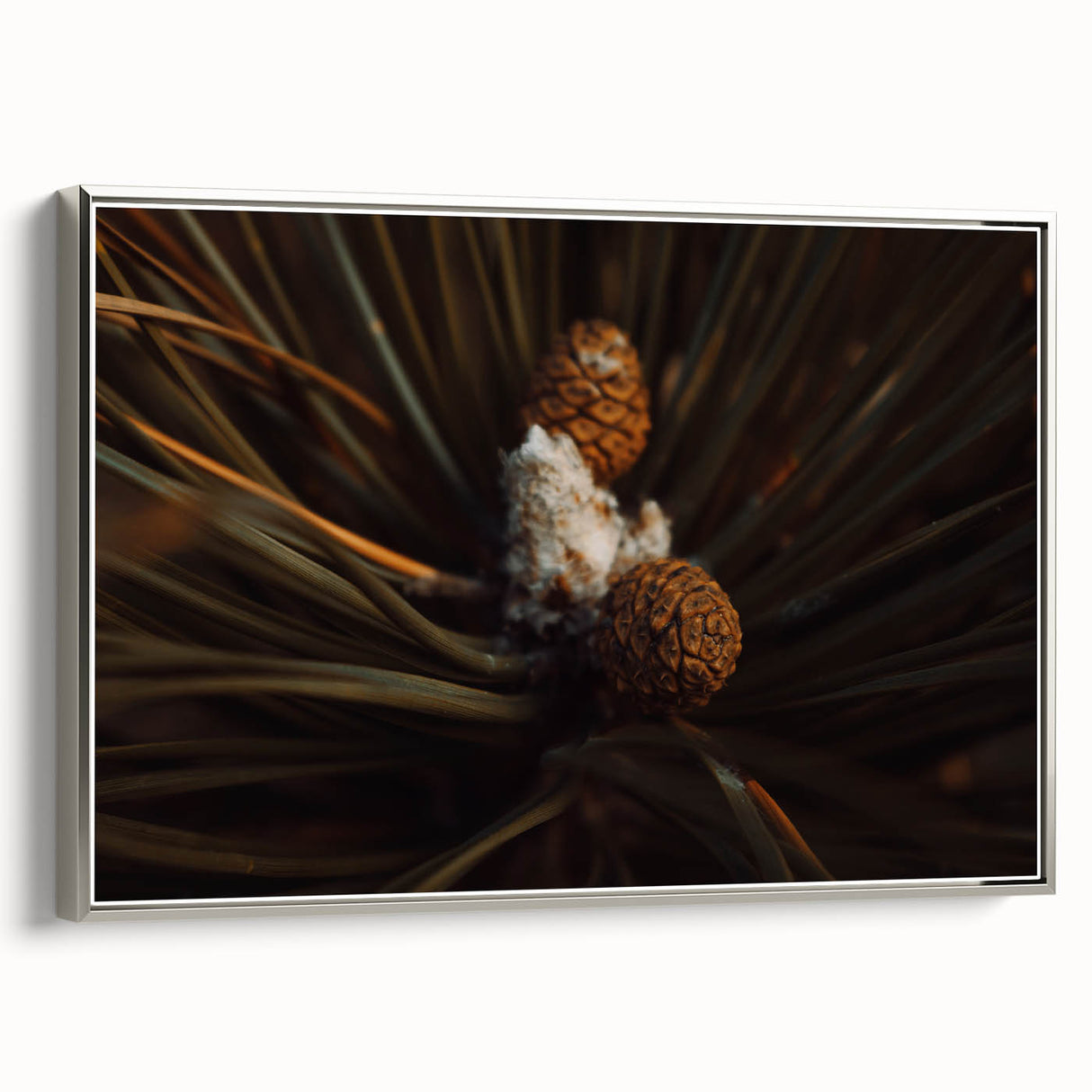 Pinecones Close-Up Rustic Wall Art – Farmhouse Nature-Inspired Decor Print