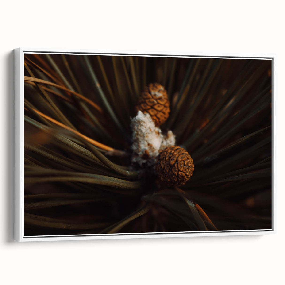 Pinecones Close-Up Rustic Wall Art – Farmhouse Nature-Inspired Decor Print