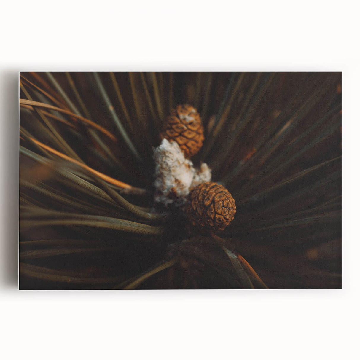 Pinecones Close-Up Rustic Wall Art – Farmhouse Nature-Inspired Decor Print