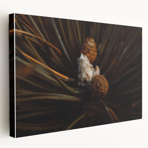 Pinecones Close-Up Rustic Wall Art – Farmhouse Nature-Inspired Decor Print