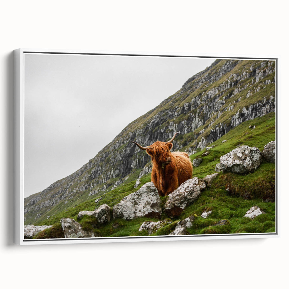 Highland Cow in Mountain Landscape Rustic Wall Art – Farmhouse Decor Print
